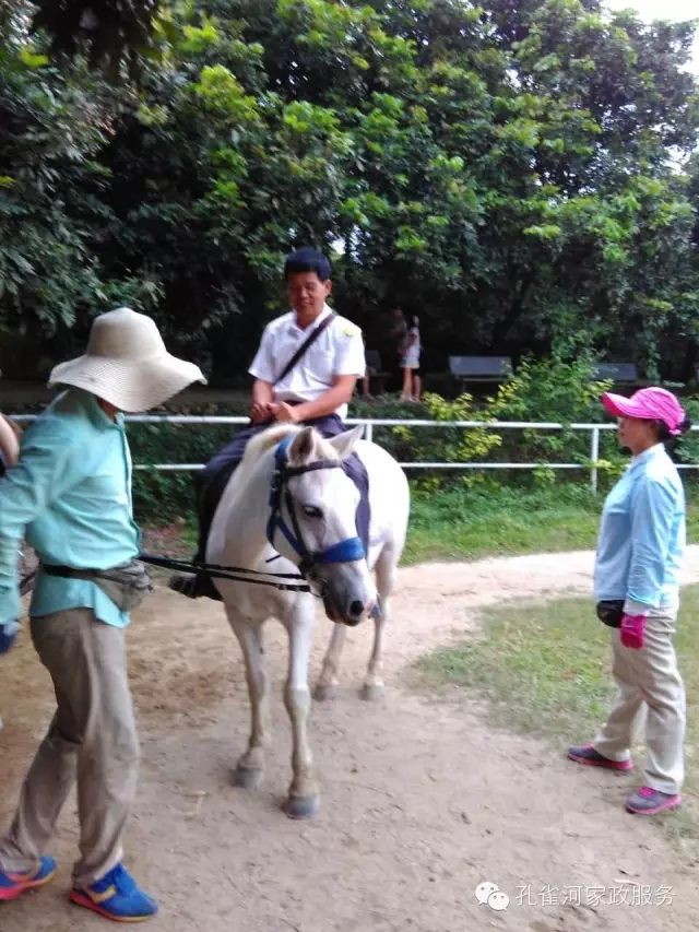 ���ҷ���׌��������á�2015��B�T�м�����(ji��)���(d��ng)��