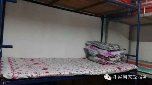 ��ȸ�Ӽ�����ķ������ů��ů��������