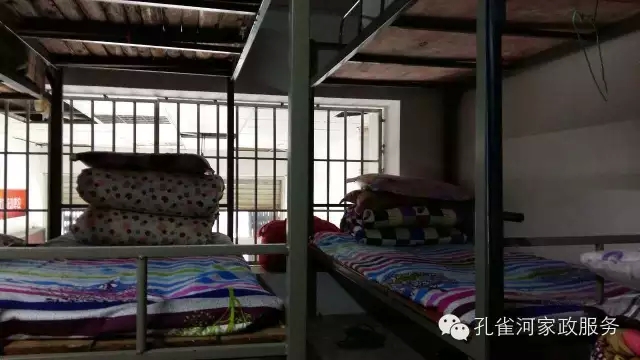 ��ȸ�Ӽ�����ķ������ů��ů��������