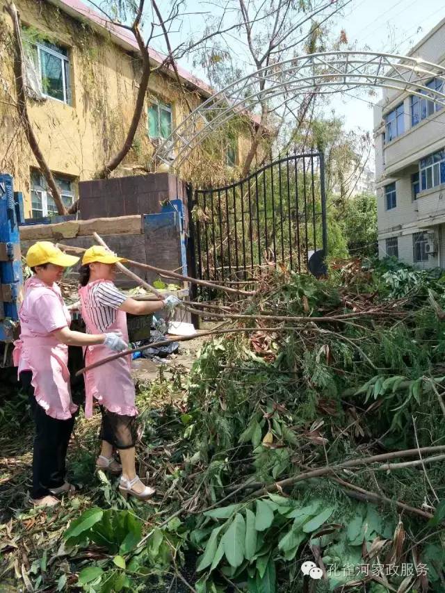 ��������y���������