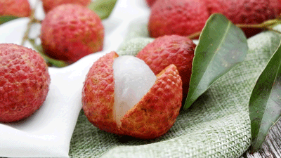 ��֦����һ���@���⣬��ȸ����ɩ��Ӗ(x��n)���f��